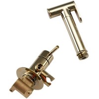 Гигиенический душ со смесителем Frap F7505-3 Золотой латунь на стену