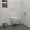 Клавиша смыва WellWant WWК55CG цвет Хром глянцевый