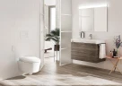 Унитаз подвесной Roca Inspira In-Wash 803060001 с сиденьем Микролифт