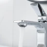 Смеситель для раковины Shevanik S6101 цвет Хром