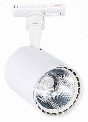 Светильник на штанге ST-Luce Cami ST351.536.15.36