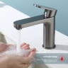 Смеситель для раковины Raglo R50.10.09 Графит матовый латунь
