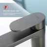 Смеситель для раковины Raglo R50.10.09 Графит матовый латунь