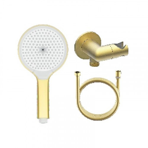 Душевой гарнитур Raglo R476.42.03 цвет Золото матовое