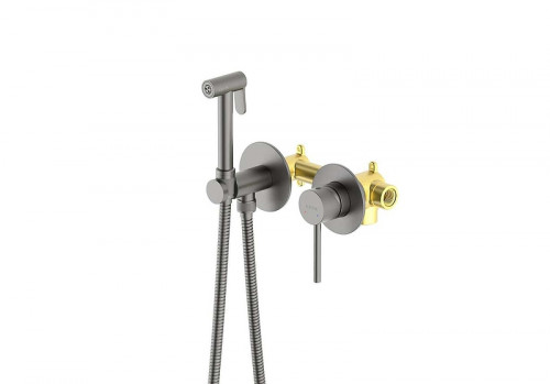 Гигиенический душ со смесителем Aquatek Европа AQ1319BGM цвет Оружейная сталь