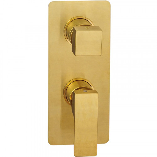 Смеситель для душа Remer Absolute AU93BG Золото брашированное латунь встраиваемый