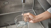Смеситель для кухни Hansgrohe Talis S 72813000 Хром латунь