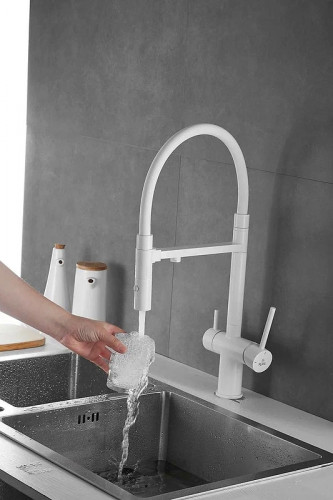 Смеситель для кухни Rose R958C цвет Белый