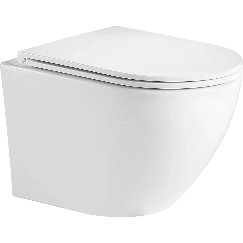 Унитаз с инсталляцией WeltWasser Merzbach 043 GL-WT 10000009939 + Charus City CR.200.21.01 с сиденьем Микролифт и клавишей смыва Хром глянцевый