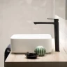 Смеситель для раковины Ramonsoler Alexia 3602NM Черный матовый