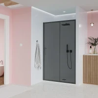 Душевая дверь Veconi Evo 100 B 170 E1-B-170-12-C9 профиль цвет Черный матовый стекло тонированное матовое