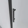 Душевая дверь Veconi Evo 100 B 170 E1-B-170-12-C9 профиль цвет Черный матовый стекло тонированное матовое
