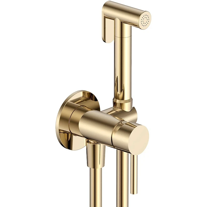 Гигиенический душ со смесителем AQUAme Siena AQM6217BG Шлифованное золото латунь встраиваемый