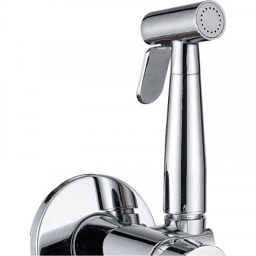 Гигиенический душ со смесителем Aquanet Passion AF300-52С 243317 Хром латунь на стену