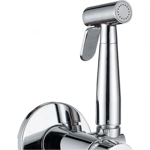 Гигиенический душ со смесителем Aquanet Passion AF300-52С 243317 Хром латунь на стену