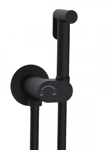 Гигиенический душ со смесителем WeltWasser Higi R01 BL 10000013652 цвет Черный матовый