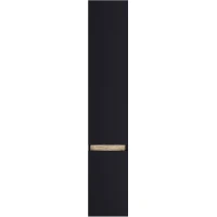 Шкаф пенал AM.PM X-Joy 30 M85ACHR0306BM подвесной Черный матовый МДФ / ЛДСП