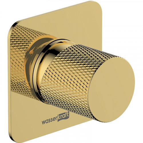 Смеситель для раковины WasserKRAFT Ems A7651.305 Золото глянцевое латунь встраиваемый