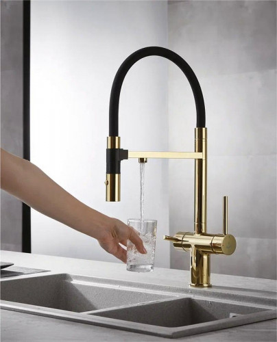 Смеситель для кухни Rose R958E цвет Золото Черный