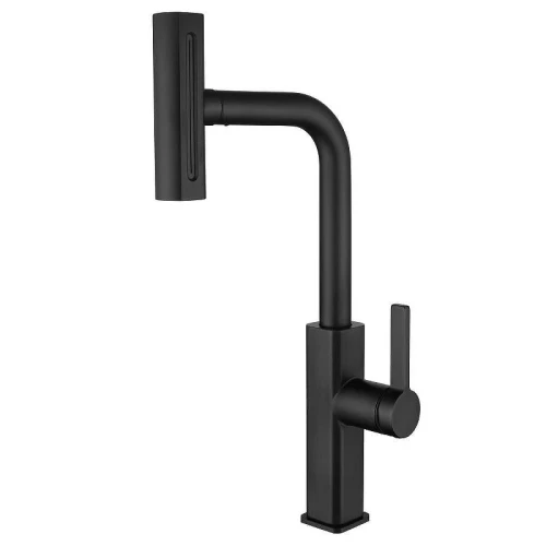 Смеситель для кухни Fmark FS8266H цвет Черный
