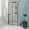 Душевая дверь Ceruttispa Bella 80 D81B профиль Черный стекло прозрачное