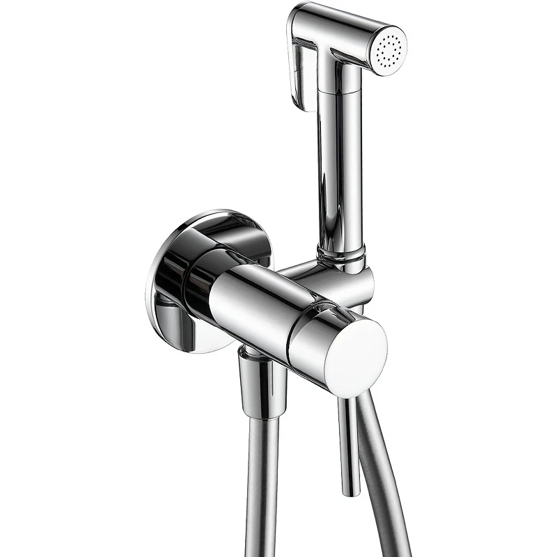 Гигиенический душ со смесителем AQUAme Siena AQM6217CR Хром латунь встраиваемый