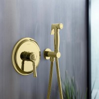 Гигиенический душ со смесителем Aquatek Классик AQ1519PG Полированное золото латунь встраиваемый