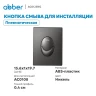 Кнопка смыва для инсталляции Abber AC0125NG цвет Никель
