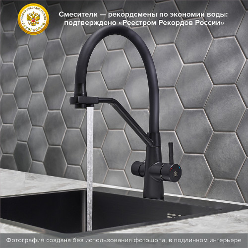 Смеситель для кухни Ростовская Мануфактура Сантехники SUS127TBL-016F-015 Черный нержавеющая сталь