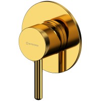 Смеситель для душа Whitecross Y gold Y1245GL Золото латунь встраиваемый