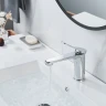 Смеситель для раковины Shevanik S6201 цвет Хром