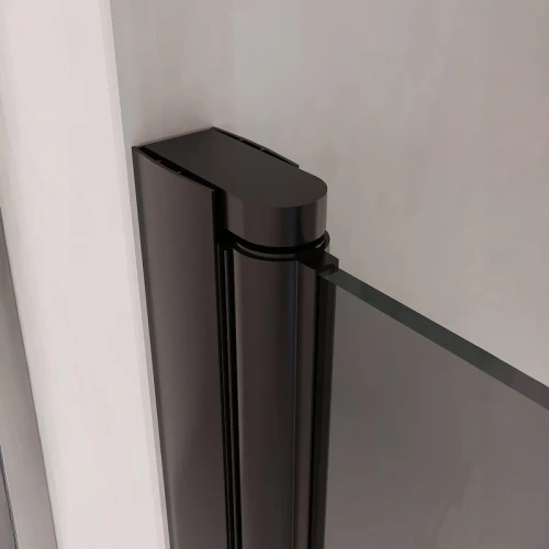 Душевая дверь RGW Passage PA-03B NEW 90 54080309-34 профиль Черный матовый стекло тонированное