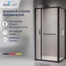Душевой уголок RGW Leipzig 120x100 77124520-14 профиль цвет Черный стекло прозрачное