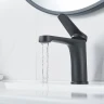 Смеситель для раковины Shevanik S6201H цвет Черный