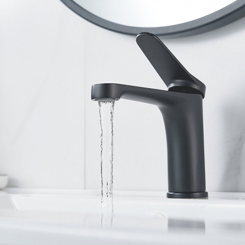 Смеситель для раковины Shevanik S6201H цвет Черный