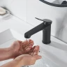 Смеситель для раковины Shevanik S6201H цвет Черный