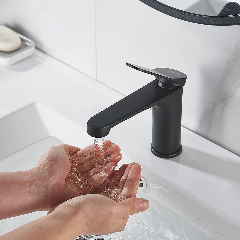 Смеситель для раковины Shevanik S6201H цвет Черный