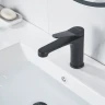 Смеситель для раковины Shevanik S6201H цвет Черный