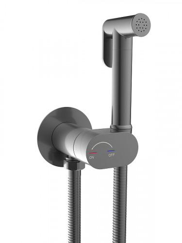 Гигиенический душ со смесителем WeltWasser Higi R01 GG 10000013655 цвет Брашированная оружейная сталь