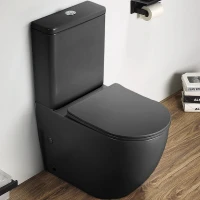 Унитаз компакт CeramaLux 2166XMDH Серый матовый с бачком и сиденьем Микролифт фаянс напольный