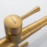 Смеситель для кухни Shevanik S528G цвет Золотой сатин