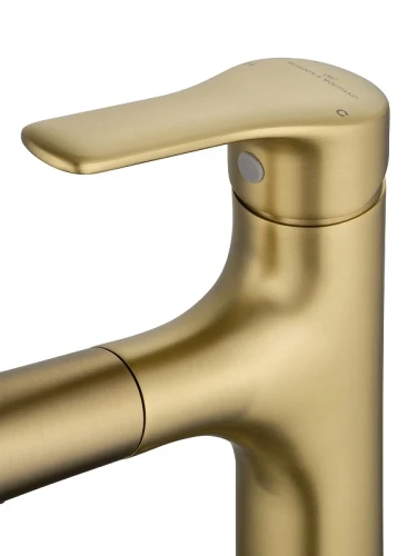 Смеситель для раковины Wonzon & Woghand WW-AE4151-BG цвет Брашированное золото