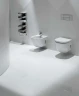 Унитаз Roca Meridian 346248000 подвесной без сиденья