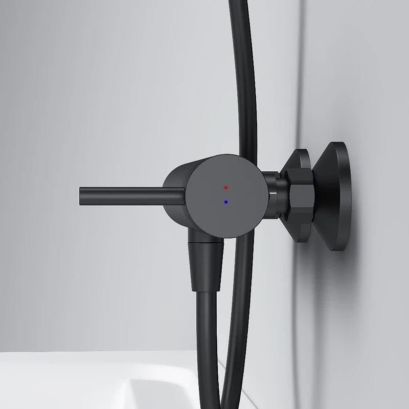 Смеситель для душа AM.PM Libre F6020022 цвет Черный матовый