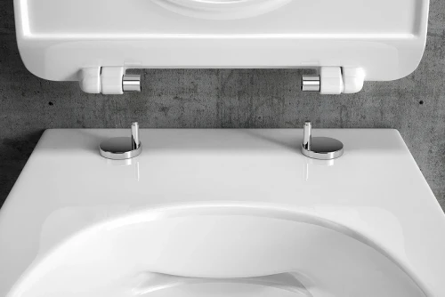 Унитаз Excellent Doto Pure Rim 54 CEEX.1404.545.WH подвесной с сиденьем Микролифт фаянс подвесной