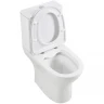 Унитаз компакт BelBagno Lounge BB045CPR/SC/BB045/051T с бачком и сиденьем Микролифт фаянс напольный