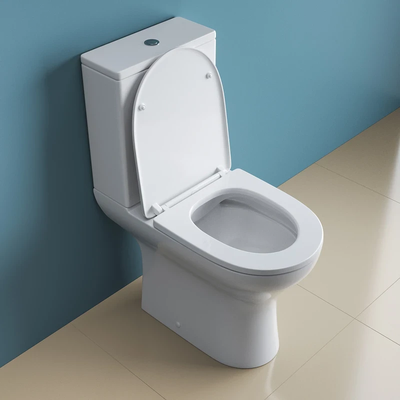 Унитаз компакт BelBagno Lounge BB045CPR/SC/BB045/051T с бачком и сиденьем Микролифт фаянс напольный
