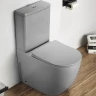 Унитаз компакт CeramaLux 2166XMH Светло-серый матовый с бачком и сиденьем Микролифт фаянс напольный