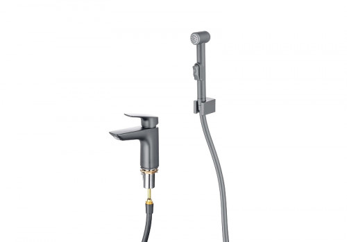 Смеситель для раковины Aquatek Вега AQ1012BGM с гигиеническим душем цвет Оружейная сталь