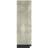 Зеркало Evoform Definite Floor 201х81 BY 6012 в багетной раме - Алюминий 90 мм стекло